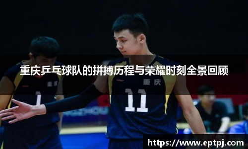 重庆乒乓球队的拼搏历程与荣耀时刻全景回顾